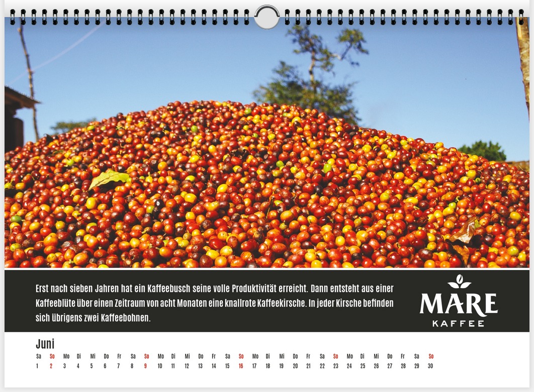 Mare Kaffee Kalender Juni 2019